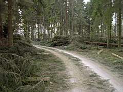 050129-Kvarnfallet 001.jpg